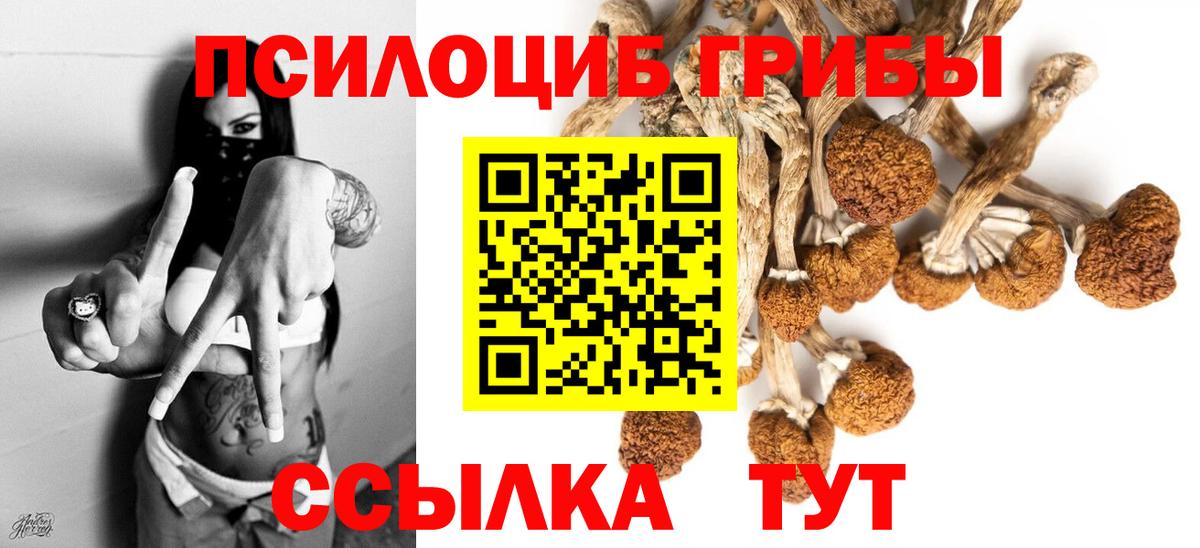 Галлюциногенные грибы ЛСД  Вход с VPN  хочу наркоту  Калининград 
