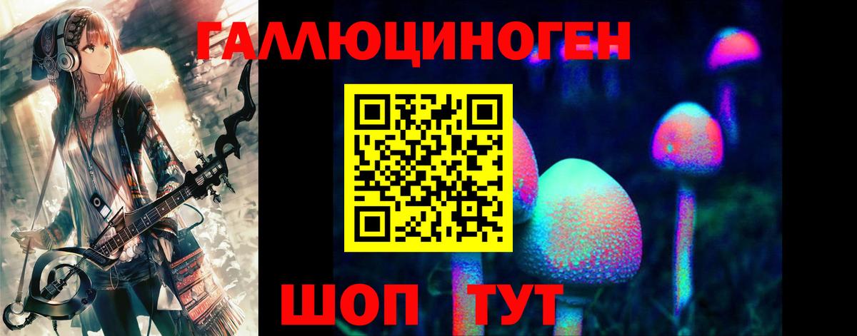 Псилоцибиновые грибы Psilocybine cubensis Калининград